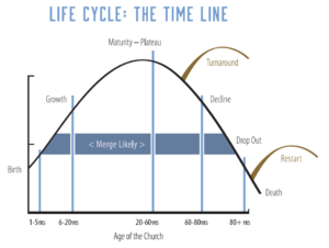 Life Cycle time line